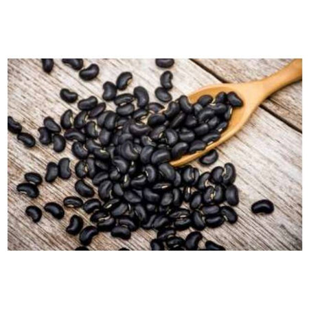 Black Bean