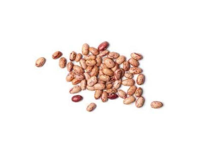 Pinto Beans