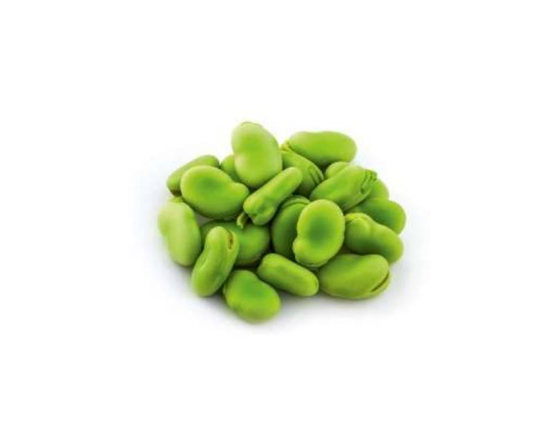 Faba Beans