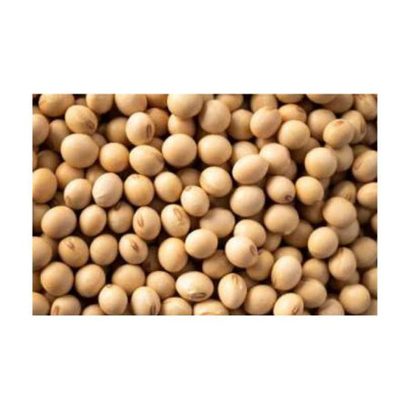 Soya Beans