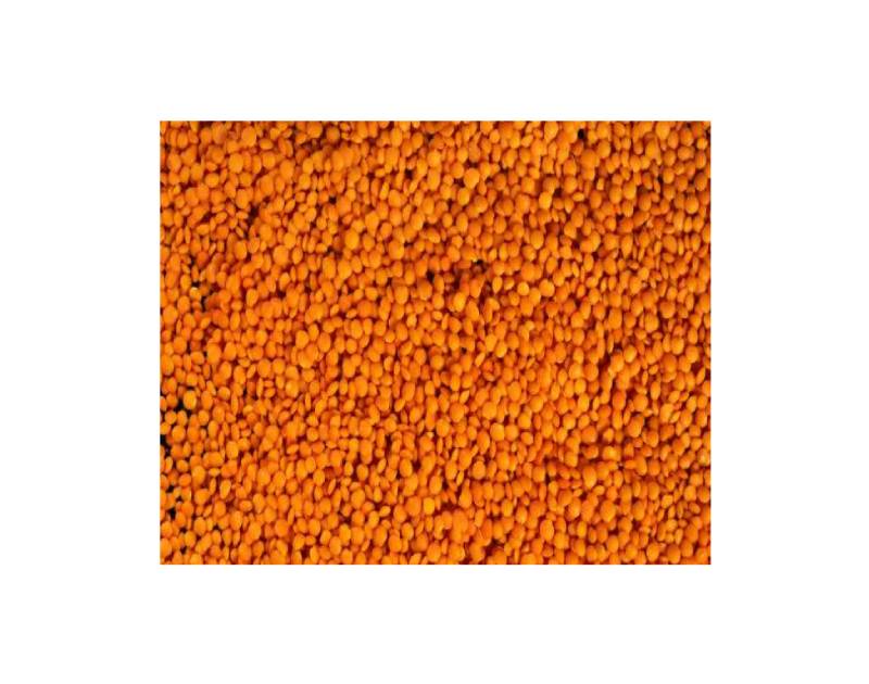 Whole Red Lentils