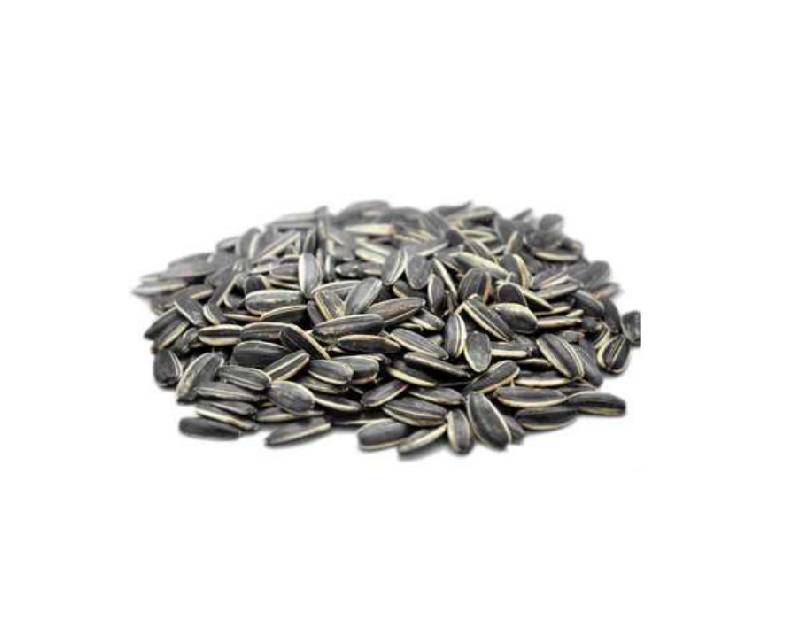 Sunflower Seeds