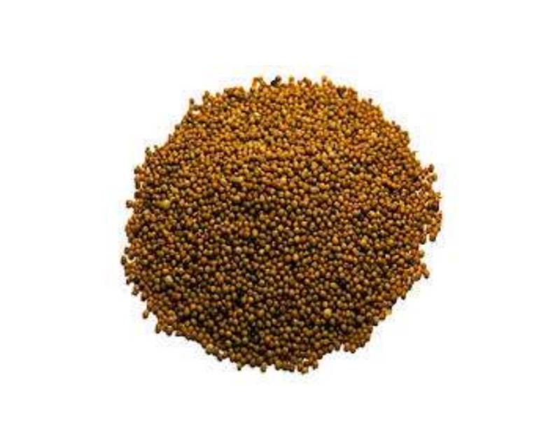 Orientel Mustard