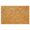 Wheat