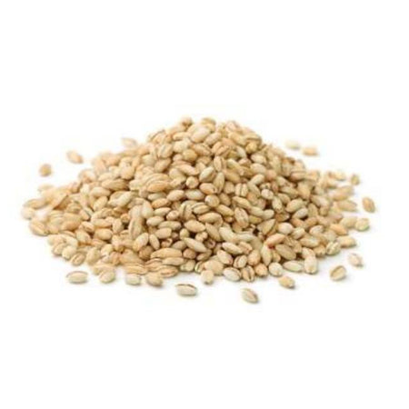 Barley
