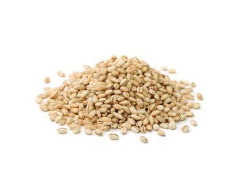 Barley