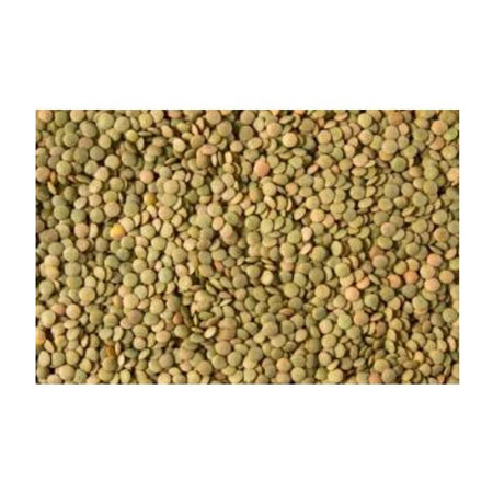 Medium Green Lentils