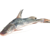 Ayre Whole 2/3kg