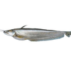 Boal Whole 4/5kg