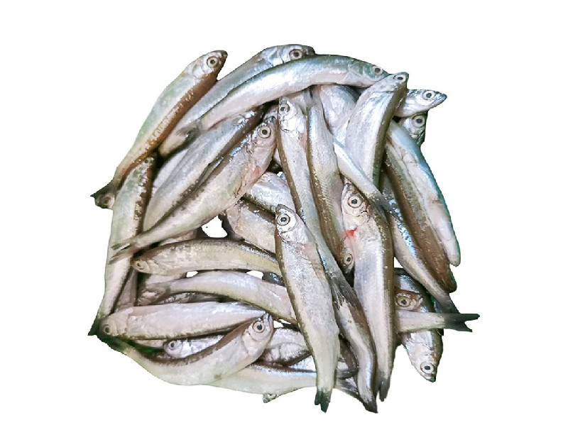 Chelapata Block 250g