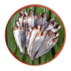 Gulsha Block 500g