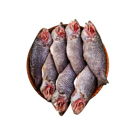 Small Koi (CL) 250g X 30