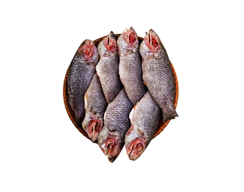 Small Koi (CL) 250g X 30