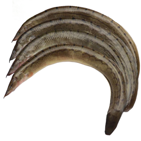 Long Baim Block 500g