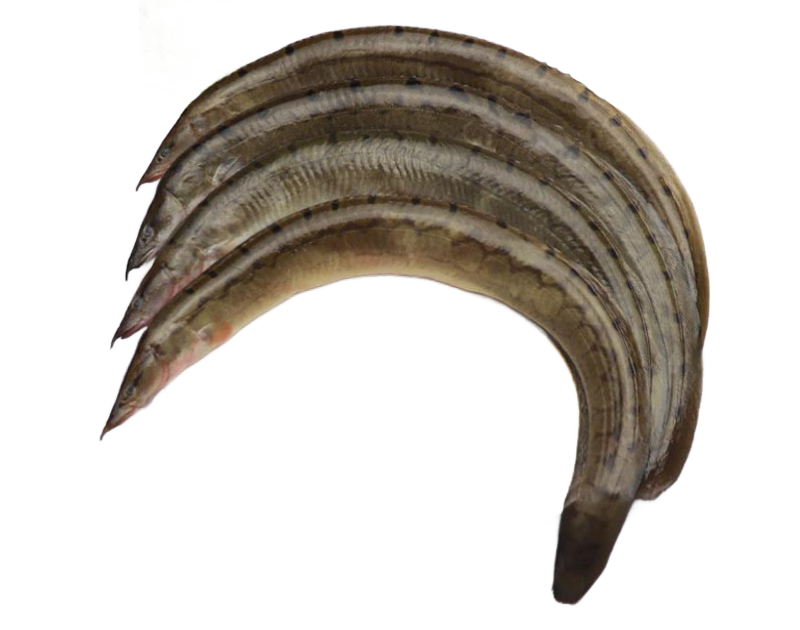 Long Baim Block 500g