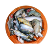 Mixed Block 250g