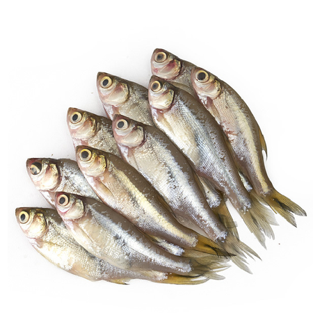 Mola Large Block 500g