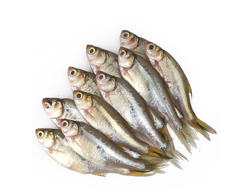 Mola Large Block 500g