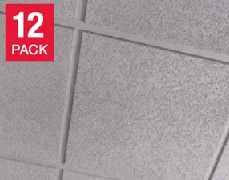 Wexstar Ceiling Tile Water/Fire Resistant 12-pack, Wave
