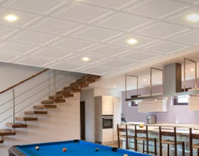 Mono Serra Quatro 24 in. × 24 in. Ceiling Tiles, Flamingo