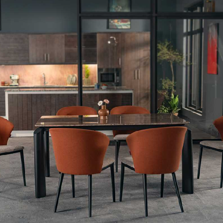 Hatil Lufira-232 and Pretentious-226 (6 Chair + 1 Table + 1 Granite) Dining Set