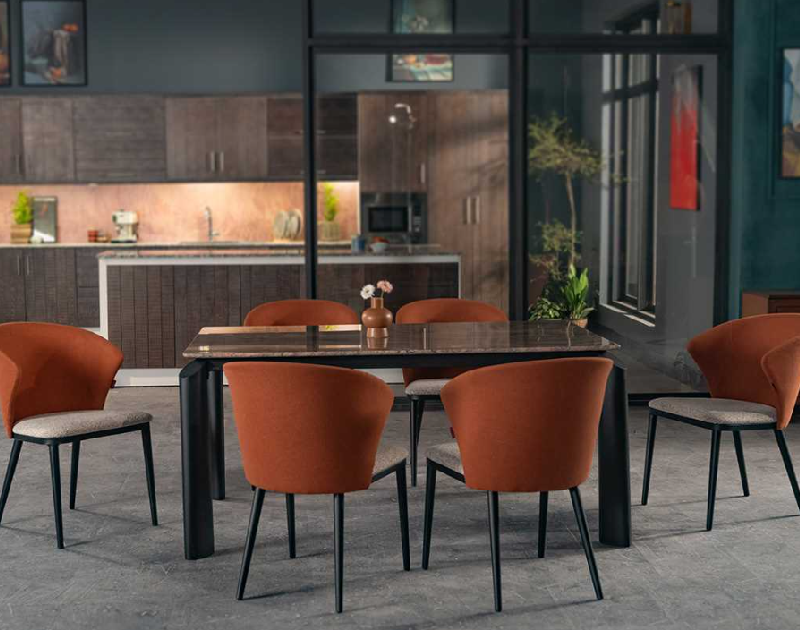 Hatil Lufira-232 and Pretentious-226 (6 Chair + 1 Table + 1 Granite) Dining Set