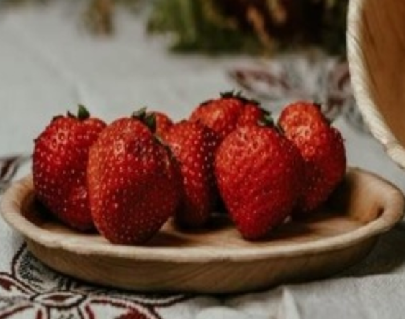 Round Eco-friendly Disposable Areca Leaf Plate