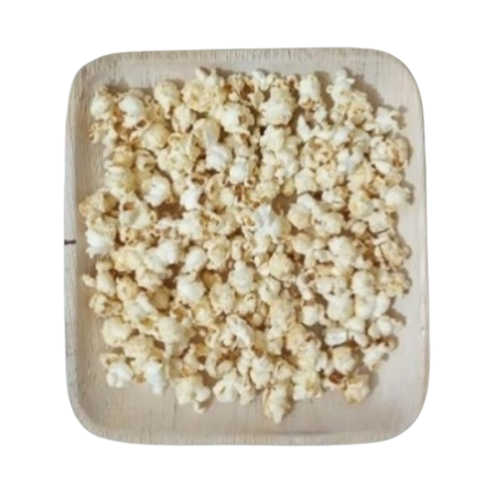 Square Eco-friendly Disposable Areca Leaf Plate