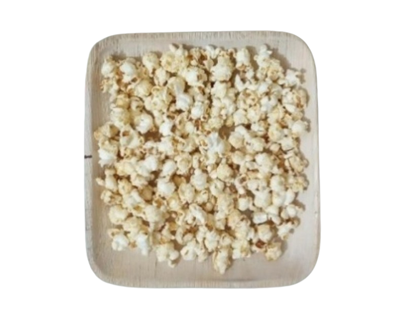 Square Eco-friendly Disposable Areca Leaf Plate