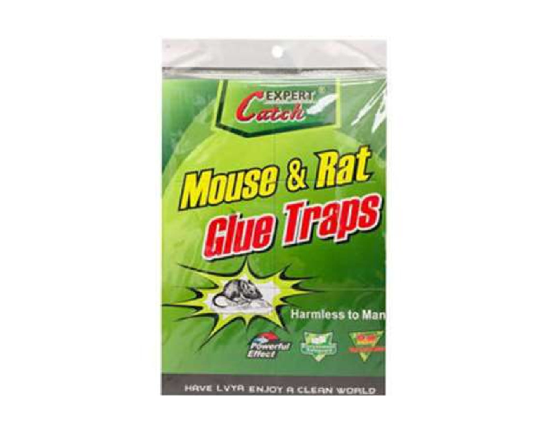 Mouse & Rat Glue Trap 2pcs 8 X 6