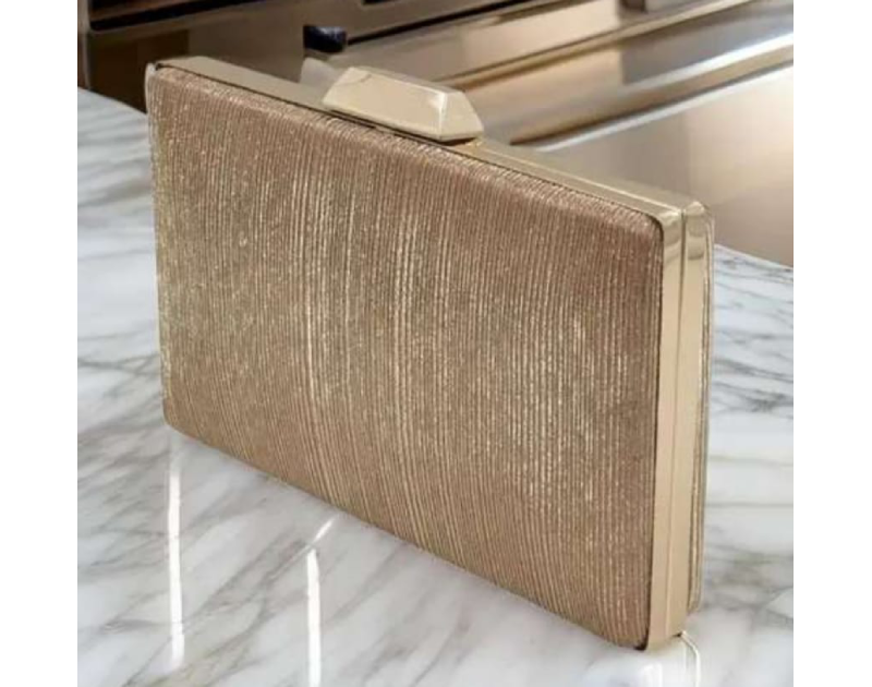 Styles Latest Women Clutches