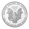 1 oz Silver American Eagle Coin
