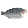 Tilapia Whole Without Scale 1kg