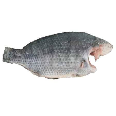 Tilapia Whole Without Scale 1kg
