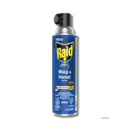 Raid Wasp & Hornet Killer 400g