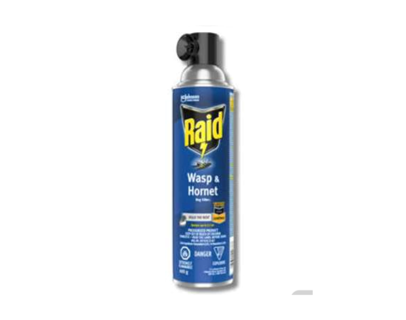 Raid Wasp & Hornet Killer 400g