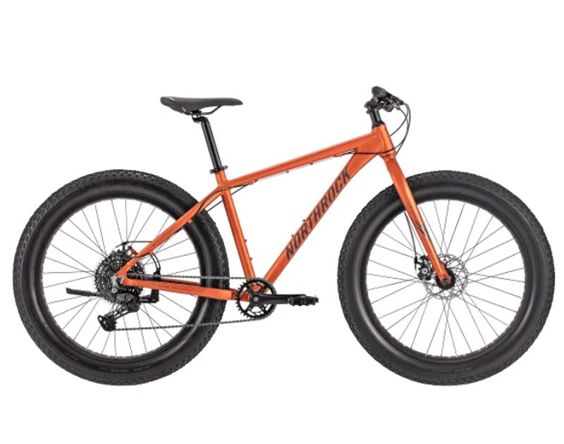 Northrock XCF Fat Tire Bike