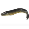Shoal
